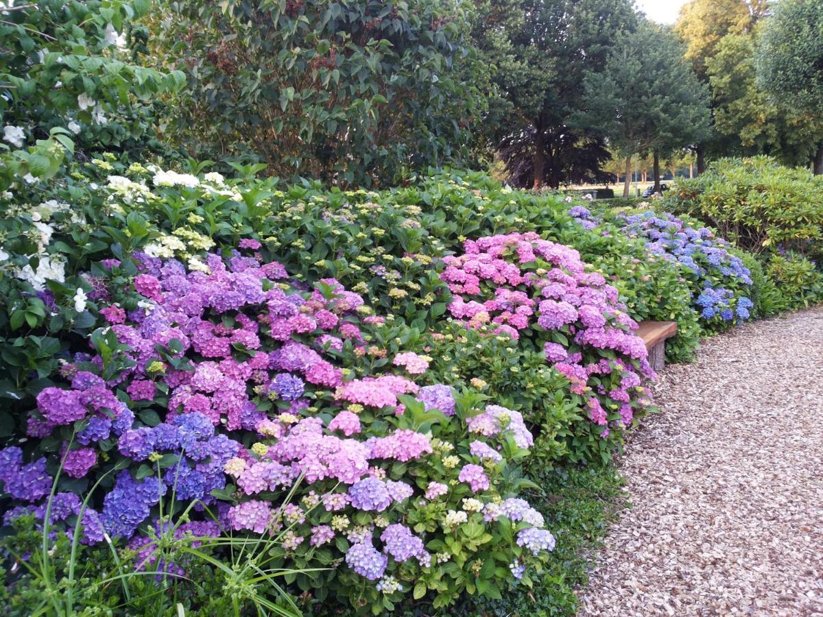 B&B Kleintje Eleveld Kültér fotó