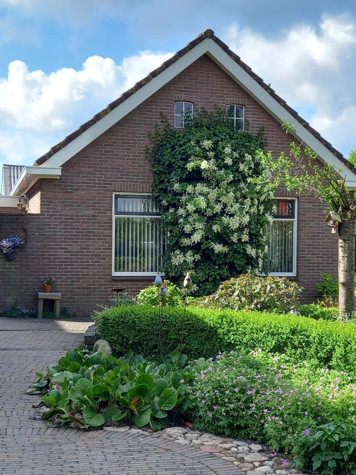 B&B Kleintje Eleveld Kültér fotó
